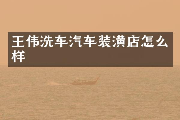王伟洗车汽车装潢店怎么样