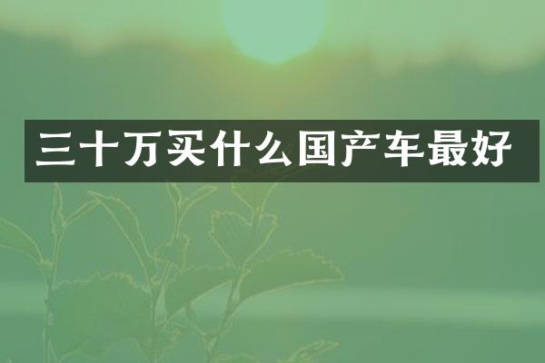 三十万国产车最好