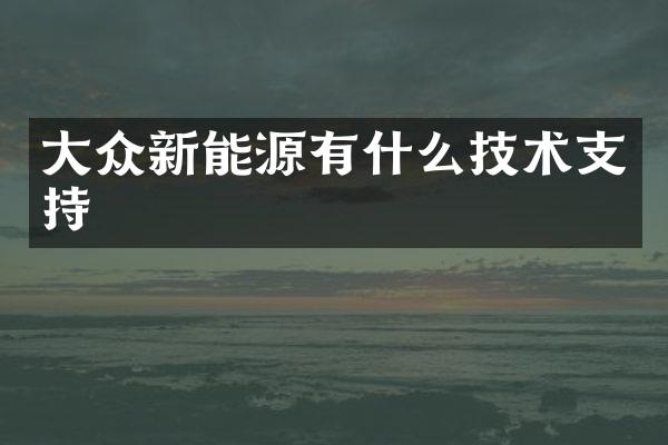 大众新能源有什么技术支持