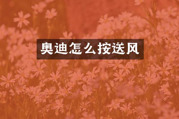 奥迪怎么按送风