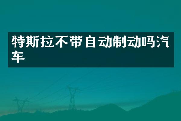 特斯拉不带自动制动吗汽车