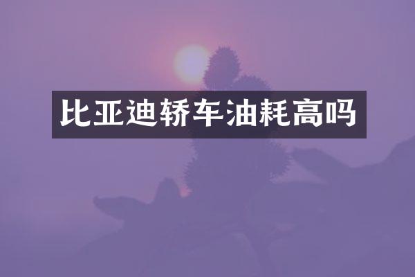 比亚迪轿车油耗高吗