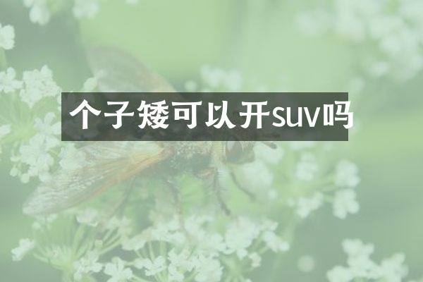 个子矮可以开suv吗