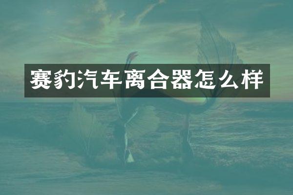 赛豹汽车离合器怎么样
