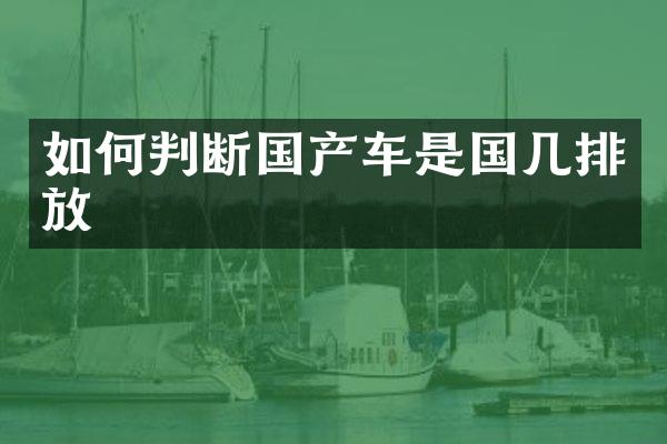 如何判断国产车是国几排放