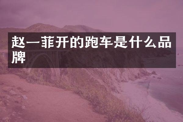 赵一菲开的跑车是什么品牌