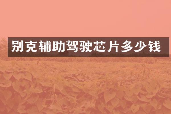 别克辅助驾驶芯片多少钱