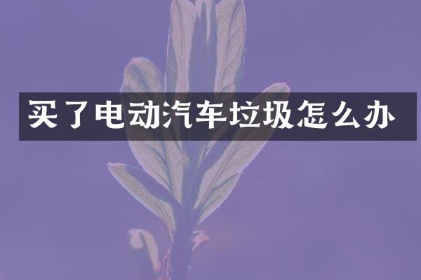 买了电动汽车垃圾怎么办