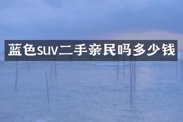 蓝色suv二手亲民吗多少钱