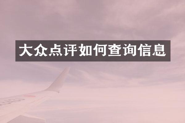 大众点评如何查询信息