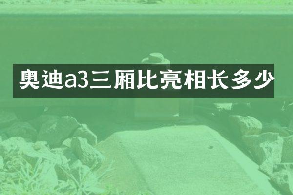 奥迪a3三厢比亮相长多少