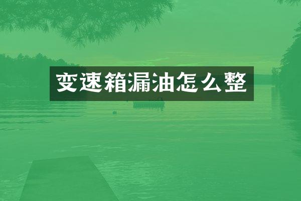 变速箱漏油怎么整