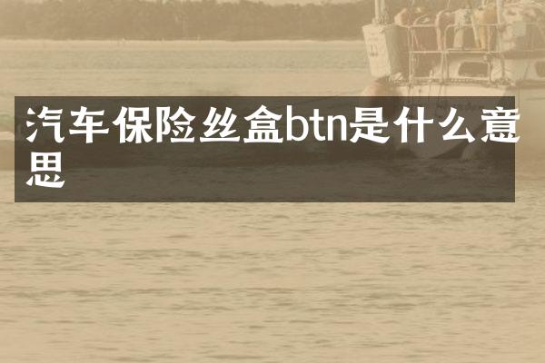 汽车保险丝盒btn是什么意思