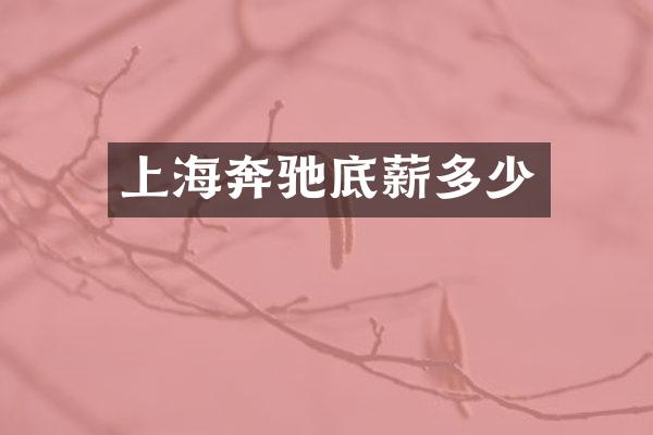 上海奔驰多少