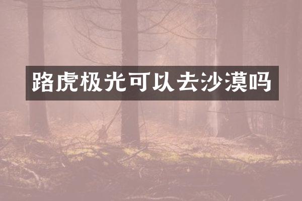 路虎极光可以去沙漠吗