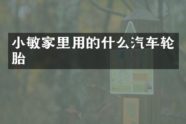 小敏家里用的什么汽车轮胎
