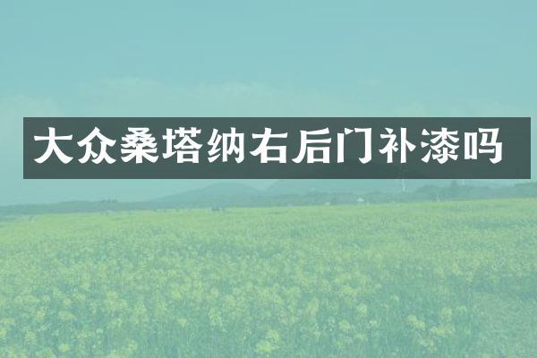 大众桑塔纳右后门补漆吗