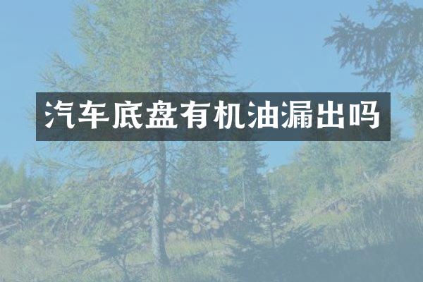 汽车底盘有机油漏出吗
