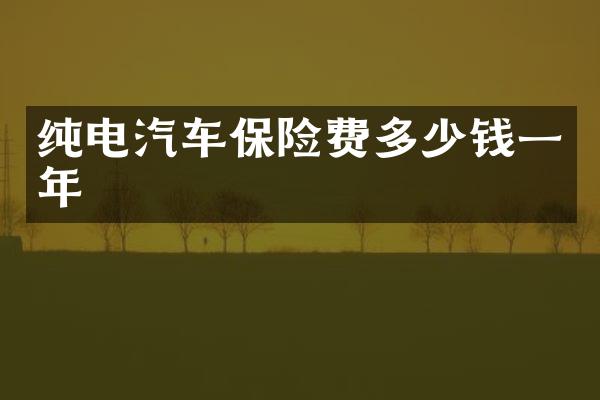 纯电汽车保险费多少钱一年