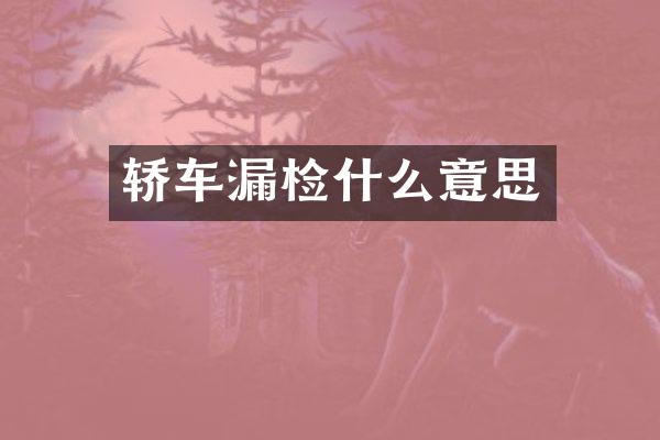轿什么意思