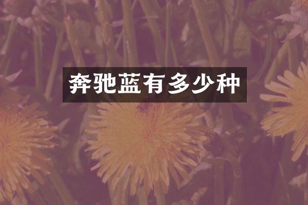奔驰蓝有多少种