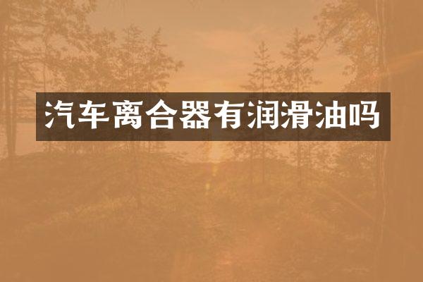 汽车离合器有润滑油吗