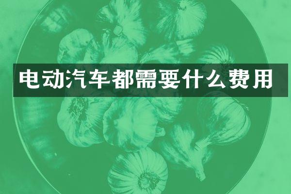 电动汽车都需要什么费用