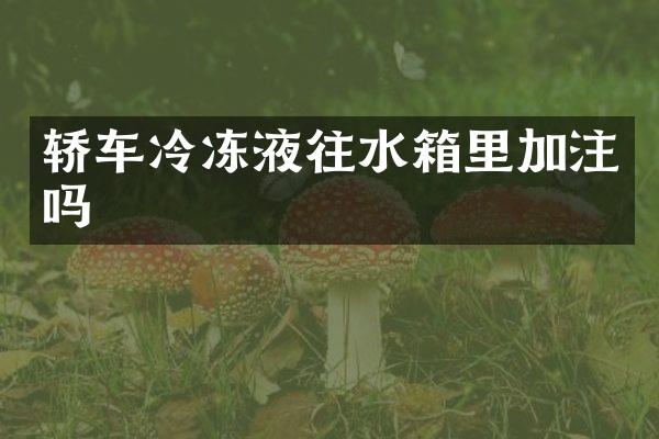 轿车冷冻液往水箱里加注吗