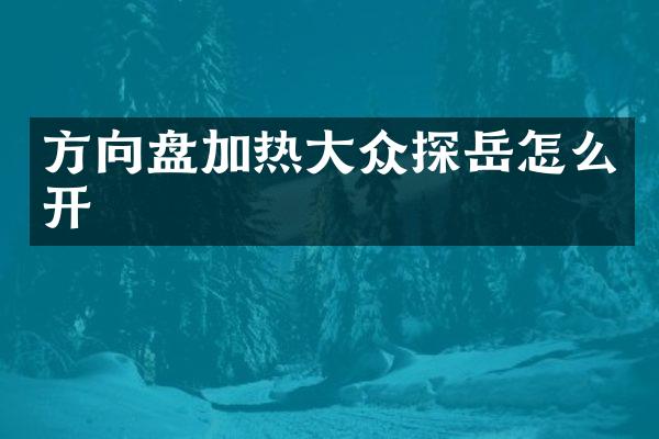 方向盘加热大众探岳怎么开