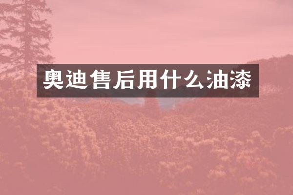 奥迪售后用什么油漆