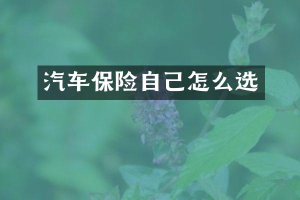 汽车保险自己怎么选