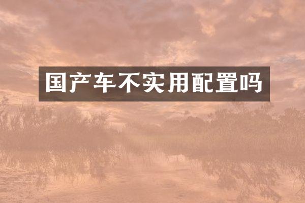 国产车不实用配置吗