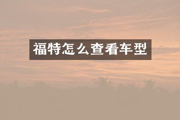 福特怎么查看车型
