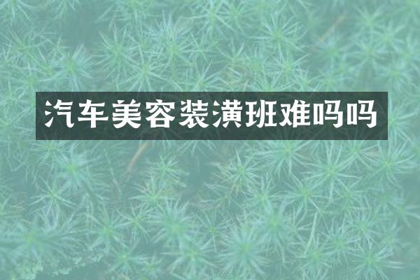 汽车美容装潢班难吗吗