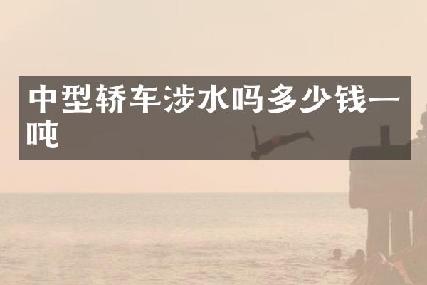中型轿车涉水吗多少钱一吨