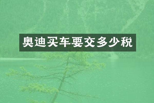 奥迪买车要交多少税