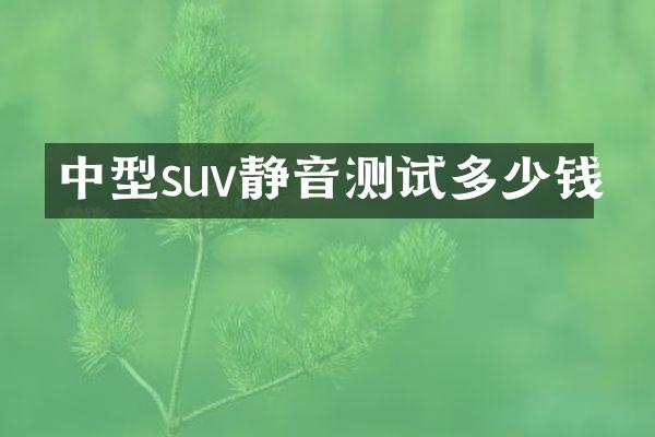 中型suv静音测试多少钱