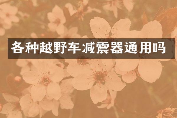各种越野车减震器通用吗