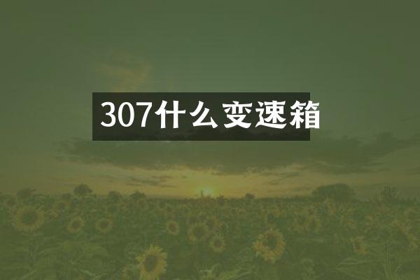 307什么变速箱