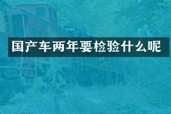 国产车两年要检验什么呢