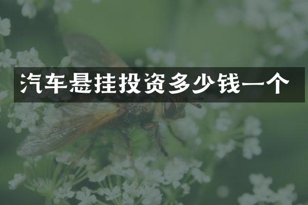汽车悬挂投资多少钱一个
