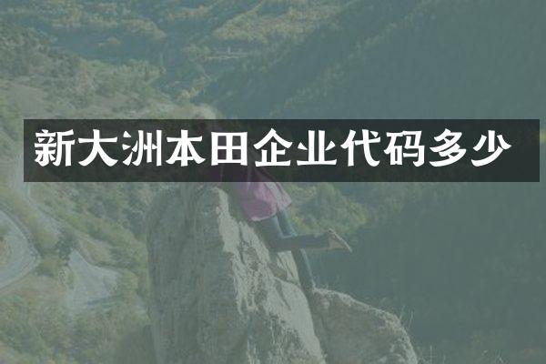 新大洲本田企业代码多少