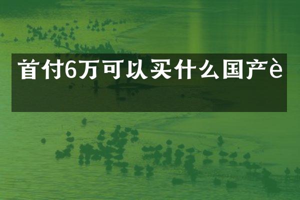 首付6万可以国产车