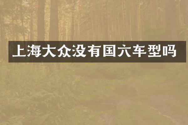 上海大众没有国六车型吗
