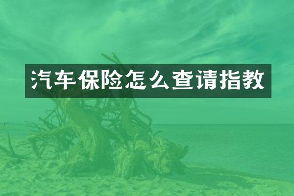 汽车保险怎么查请指教
