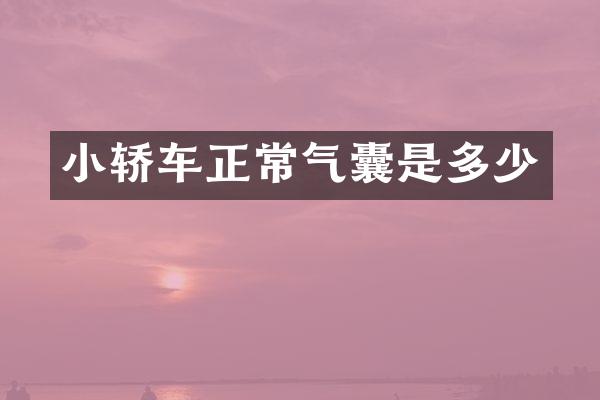 小轿车正常气囊是多少