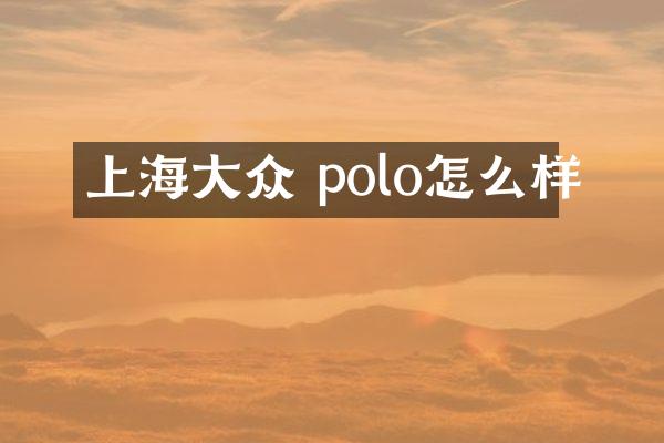 上海大众 polo怎么样