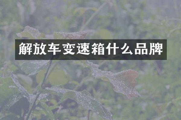 解放车变速箱什么品牌