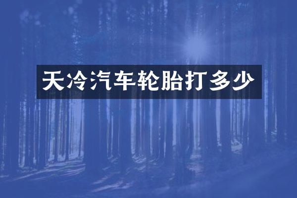 天冷汽车轮胎打多少