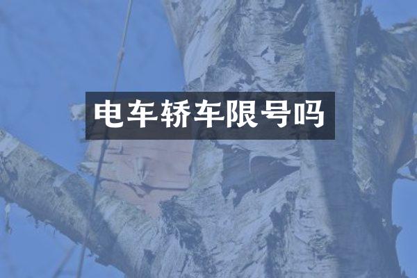 电车轿车限号吗